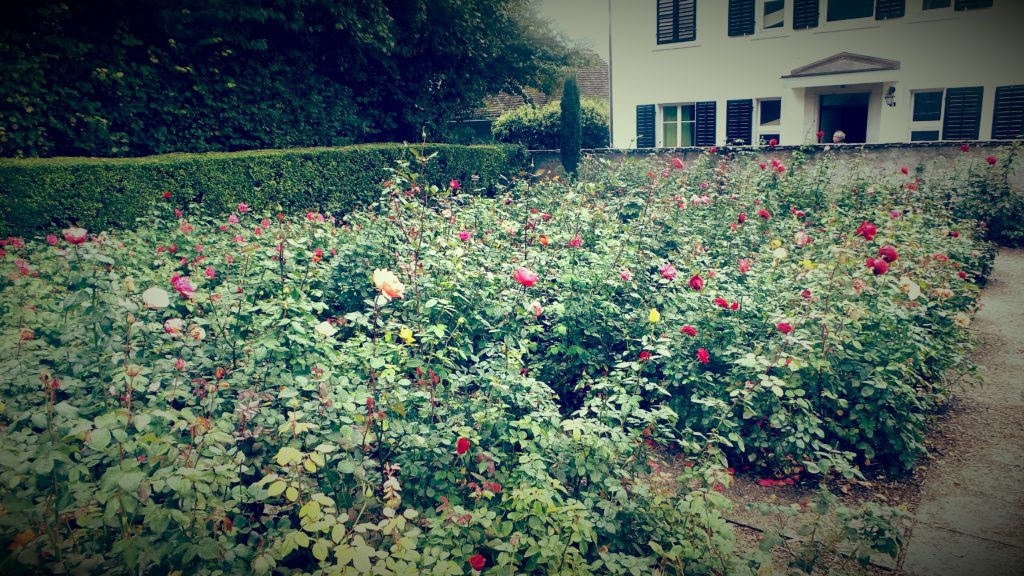 The Rose Garden.