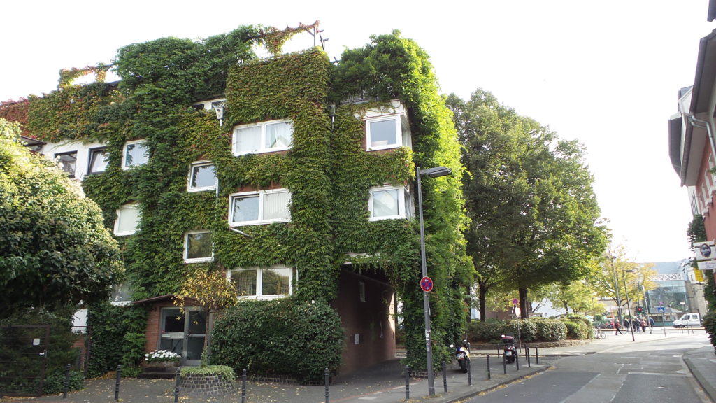 A funky green house.