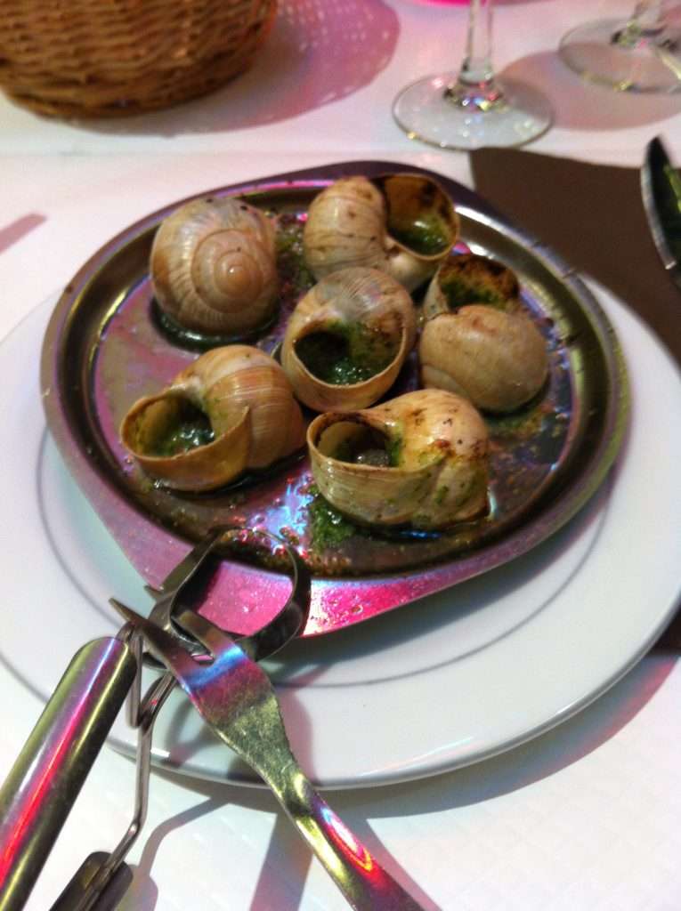 Sensational Snails!